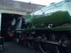 DSC00416.JPG