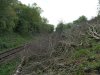 DSCF2051.JPG