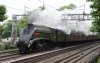 DSC06596.JPG