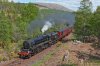 DSC_8576.jpg