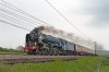 DSC_8656.jpg