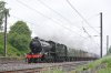 61994-01b.jpg