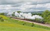 DSC_lbr8733.jpg