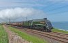 DSC_8767.jpg
