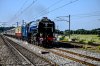 _DSR4969.jpg