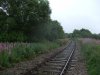 DSCF2102a.jpg
