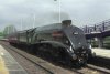 60009 LE move to Crewe 01.08.2013 C Fenton.jpg