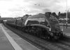 S Flyer N bound 60009 C Fenton 02.08.13 black 2.jpg