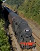 48151 8f passes Widnes 1 30% resize for email.jpg