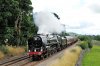 70013-03c.jpg