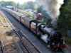 45231 Winchfield 3 28-08-13.jpg
