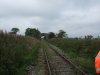 DSCF2139a.jpg