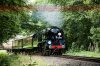 Trimpley,-Arley-&-Bewdley-05.jpg