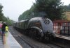 60009 & 47580 Scarborough Flyer 6-9-13 005.JPG