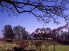 2020-06-23-0013_DxO-Edit.jpg