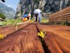 planks2.jpeg