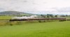 15A_0436.jpg