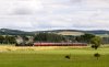 _DSC1236-Edit.jpg