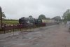 DSC00137ss.jpg