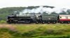 _DSC1268-Edit.jpg