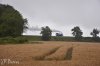1 Rookwood 19.7.2020.jpg
