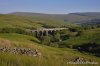 _DSC9275.JPG
