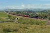 46115 Birkett.jpg