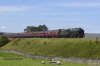 DSC_19381.jpg