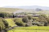 46115-(6)-shap-Wells-fbook.jpg
