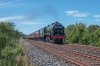 DSC_2147.jpg