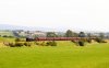 _DSC1329-Edit.jpg