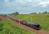 35018-Greenholme-The Dalesmman-11 August 2020-Peter AinsworthV4.jpg