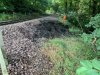 Landslide 3.jpg