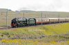46100-(30)-Shap-Wells-fbook.jpg