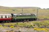 D1935-(2)-Shap-Wells-fbook.jpg
