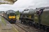 DSC_19463.jpg