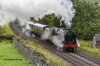 DSC_19488.jpg
