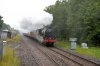 46115-01d.jpg