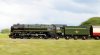 _DSC1396-Edit.jpg