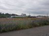 20200819_172118.jpg