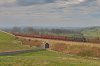 DSC_3421.jpg