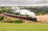 _DSC1414-Edit.jpg