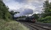 Lakelander 45231 3 1b.jpg