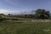 Dalesman 46115 3b.jpg