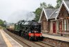 _DSC1469-Edit.jpg