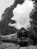 _DSC1477-Edit.jpg
