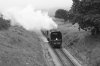 IMG_5006BW.jpg