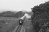 IMG_5009BW.jpg