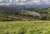 Waverley 45562 3b.jpg