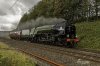 Tornade 5Z59 1b.jpg